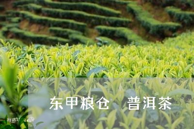 东甲粮仓 普洱茶/2023041141805